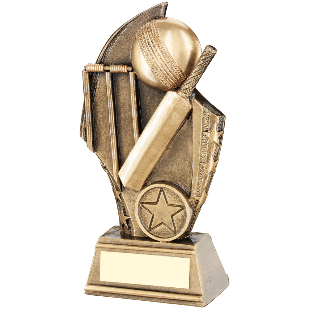 CRICKET CURVED PLAQUE TROPHY | Aristocrat Trophies